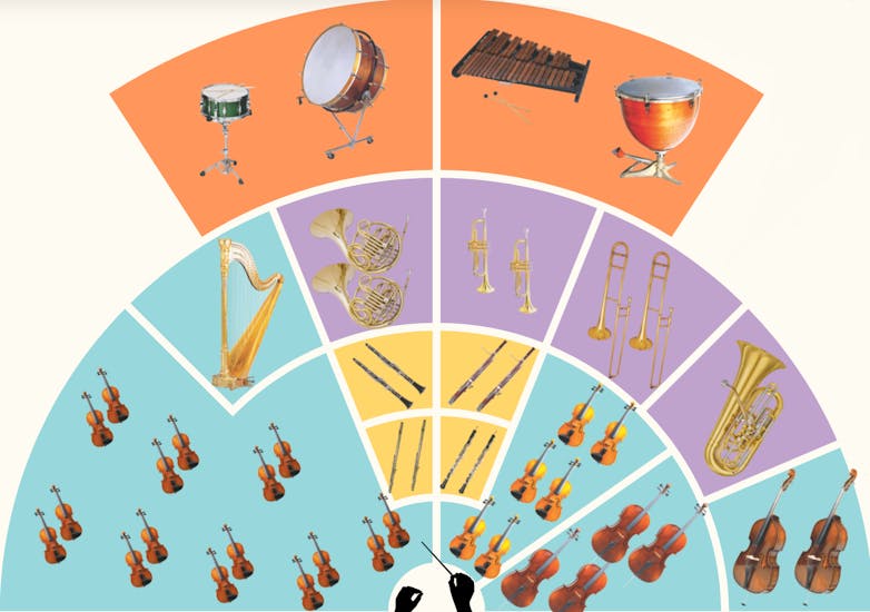 Which of the following are the hot sale families of the orchestra