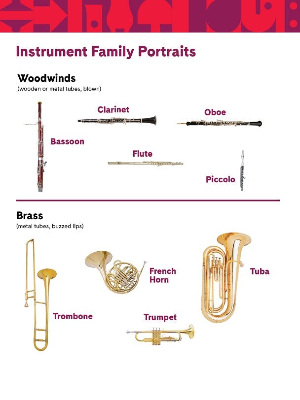 Conectați familiile de instrumente | Carnegie HallConectați familiile de instrumente | Carnegie Hall  