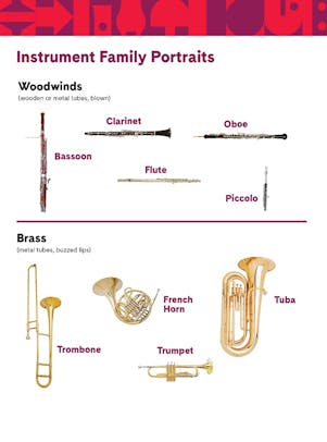 Link Up Instrument Families
