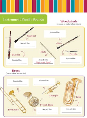 Instrument Families | Carnegie Hall