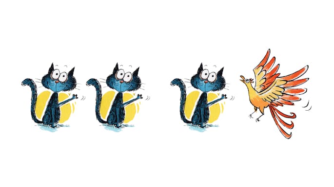 Two cats, followed by one cat and one bird