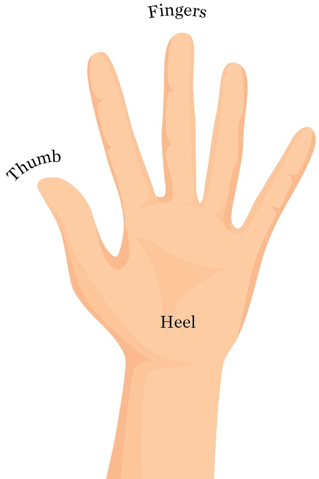 Two hands with palms and fingers outstretched