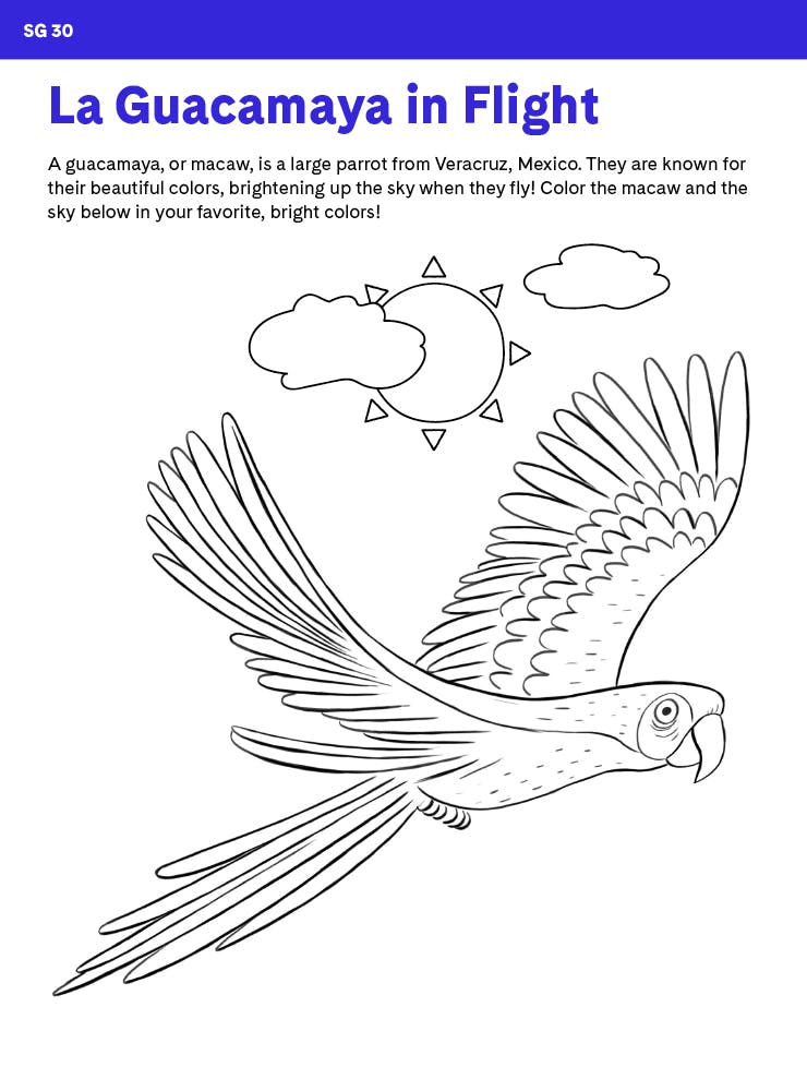 "La Guacamaya in Flight" with a drawing of a macaw in flight