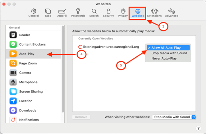 Screenshot of the Apple Safari Auto-Play settings