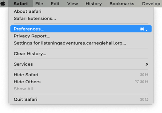 Screenshot of the Apple Safari Preferences dropdown