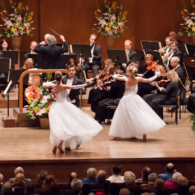 Salute to Vienna New Year's Concert