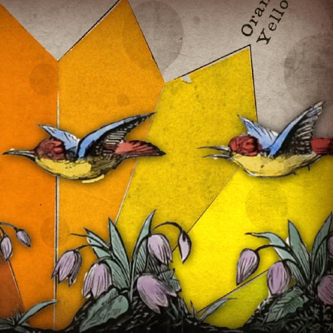 A watercolor of two birds flying over flowers