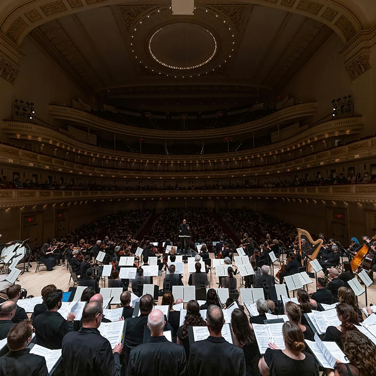 American Symphony Orchestra | Mar 22, 2024 at 8 PM | Carnegie Hall
