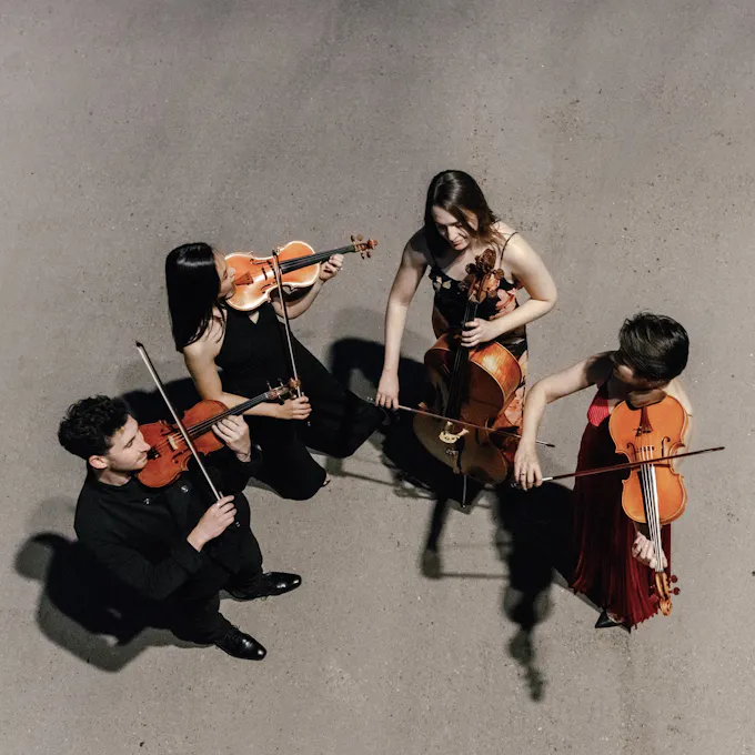 Carpe Diem String Quartet