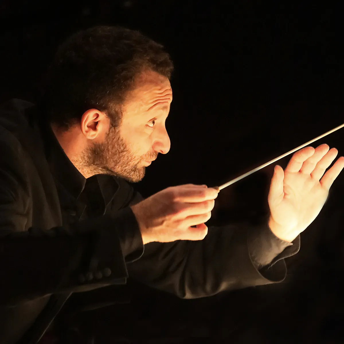 クラシック BERLINER PHILHARMONIKER Berliner Philharmoniker | Berliner Philharmoniker