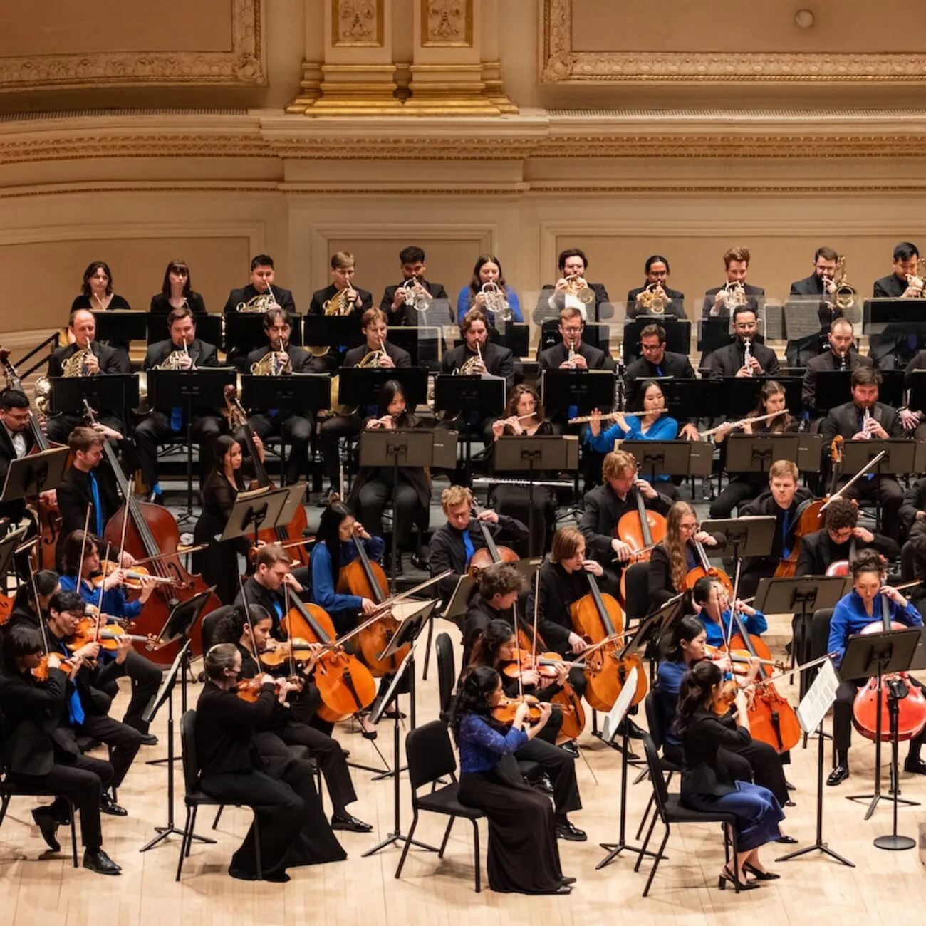 The Orchestra Now