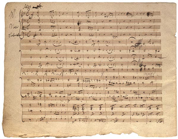 Original manuscript page from Schubert’s “Death and the Maiden” Quartet