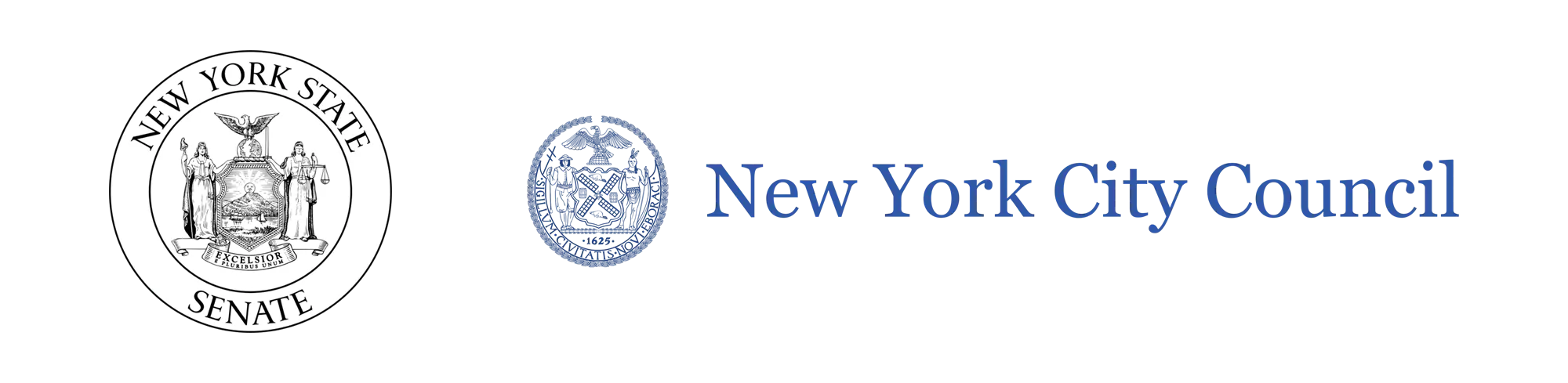 New York State Senate; New York City Council