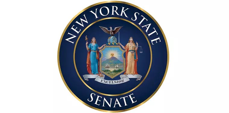 New York State Sentate